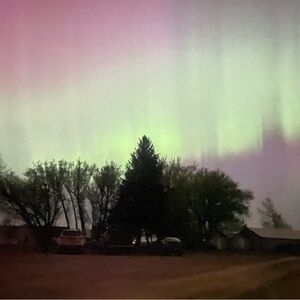 Meet your Posher, Dene'